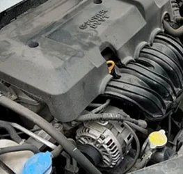 Antes de la limpieza a vapor